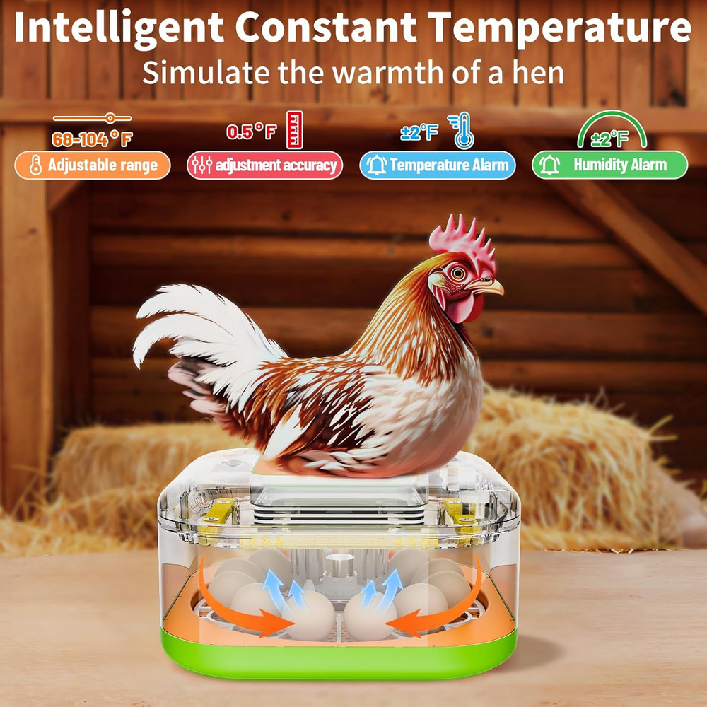 Incubator for Hatching Eggs, Temperature and Humidity Control, Automatic and Adj