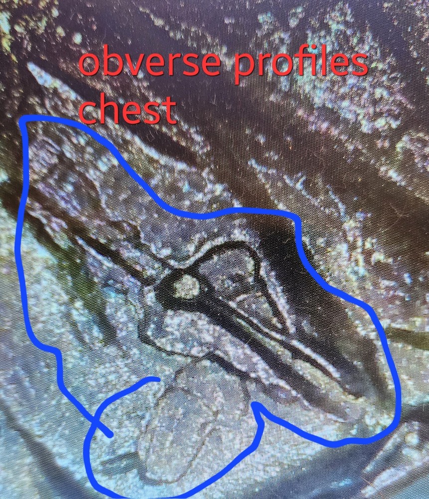 1949 D Planchet Error cent. 🧐🪙 #coin #error #cent