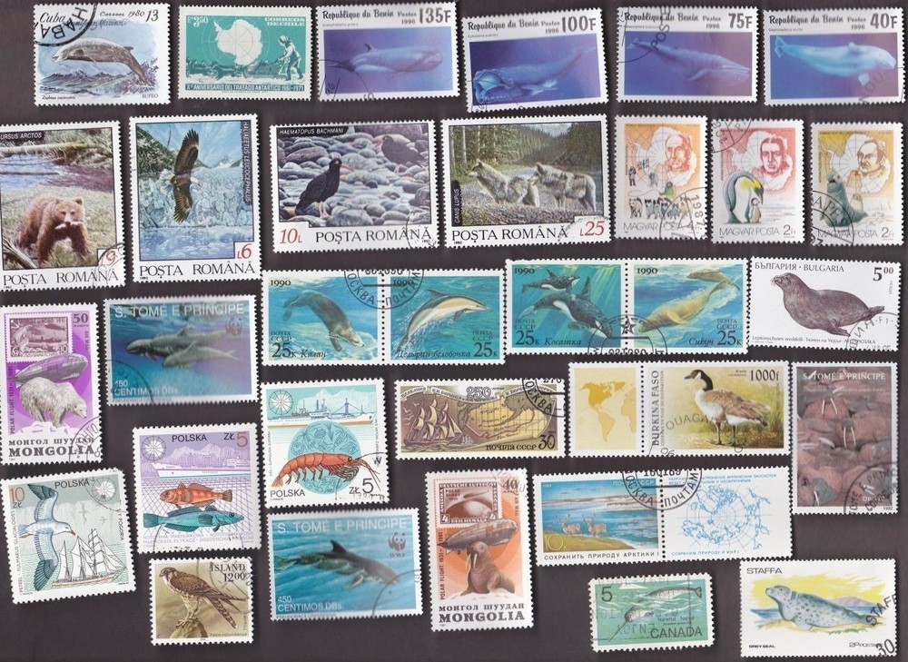 75 ALL DIFFERENT  POLAR ANIMALS ON STAMPS