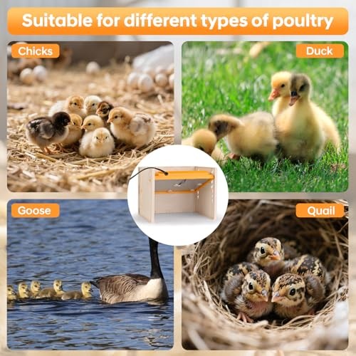 Brooder Plate for Chicks, 25W Heat Plate with Temperature Control, 9.76" x