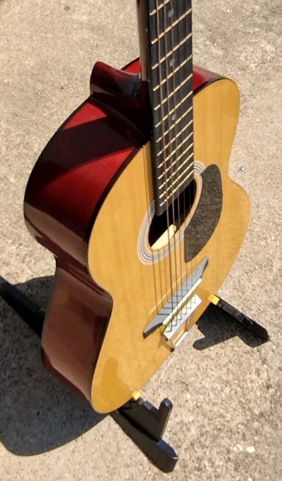 Antares 6 String Acoustic Guitar w/HSC! -LL