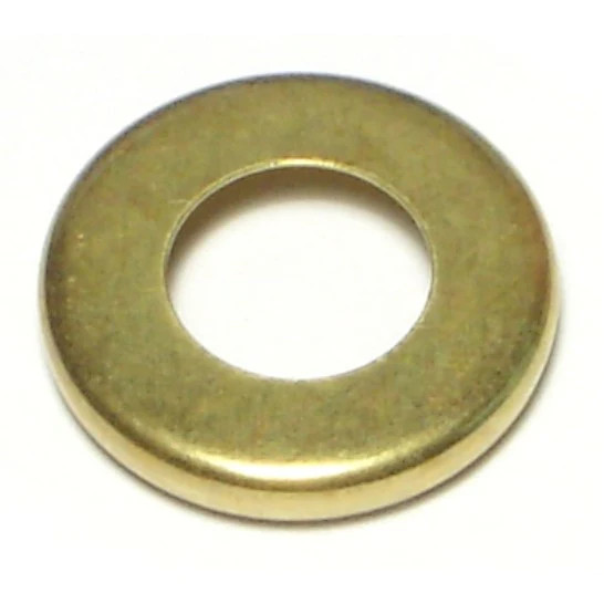 3/4" x 1/8IP Check Rings (12 pcs.)
