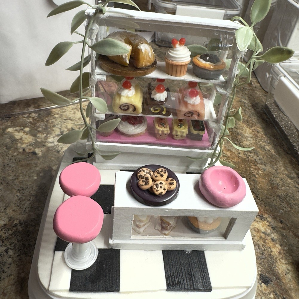 Jumping Spider Enclosure Bakery Themed Handmade