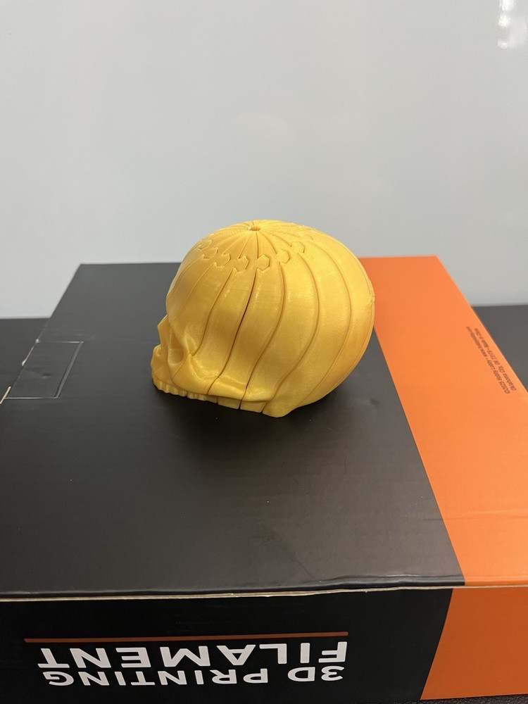 3D printed Articulated Skull
