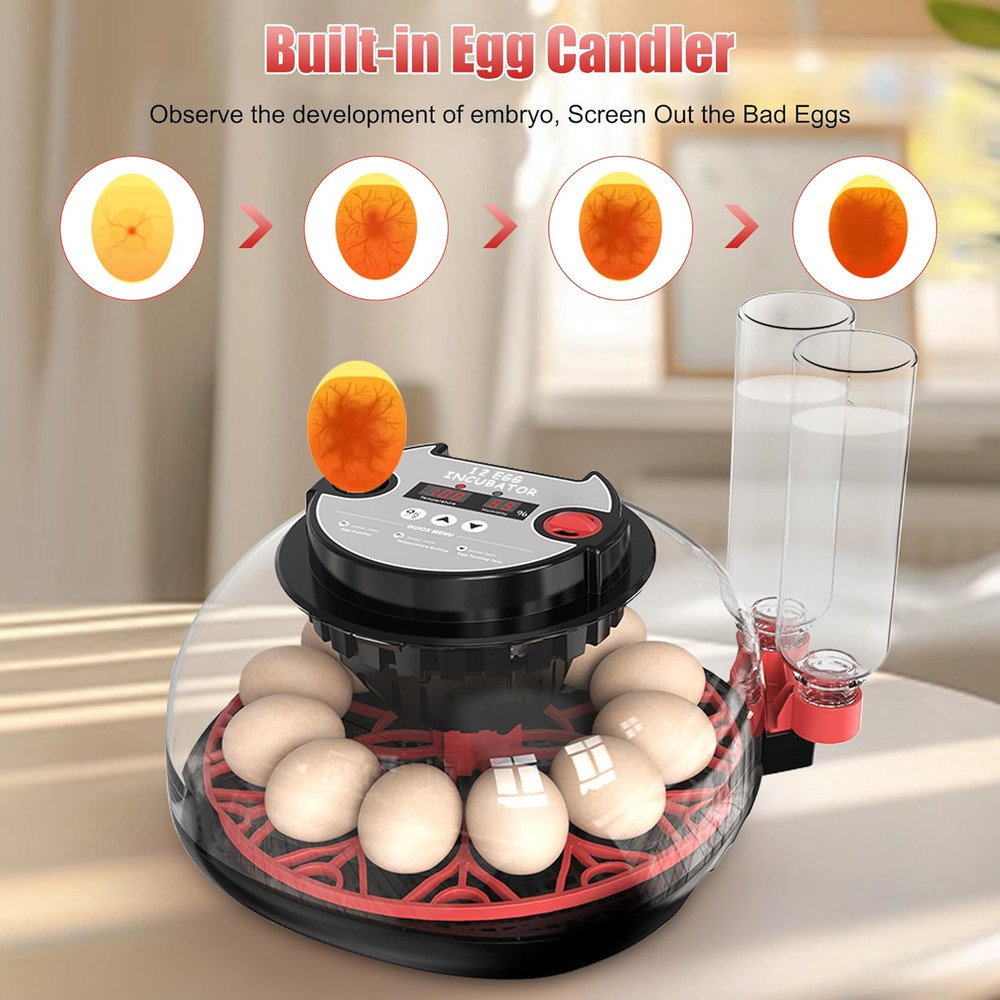 12 Egg Incubator with Temperature Control, Humidity Display, Automatic Egg Turne