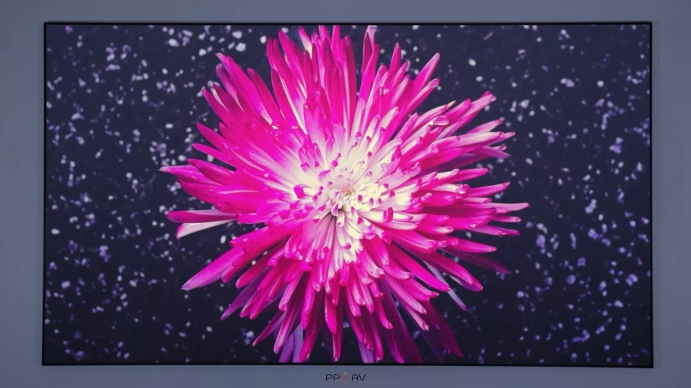 Projector Screen ALR/CLR 80-200 Inch Fixed Frame 8K UST (CBSP) - Phoenix Screens
