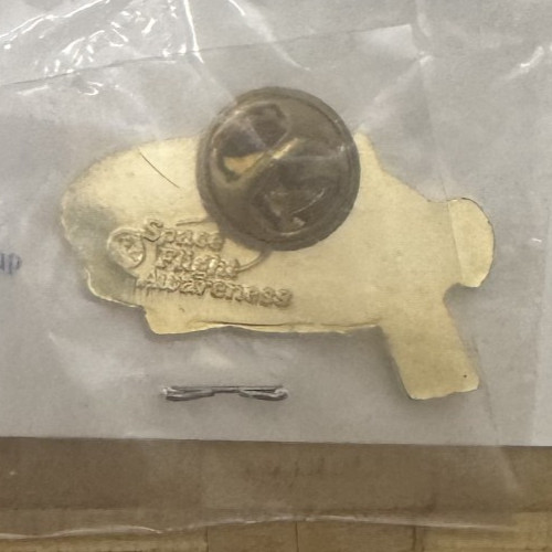 Space Station Phase ISS-2A Commemorative Pin