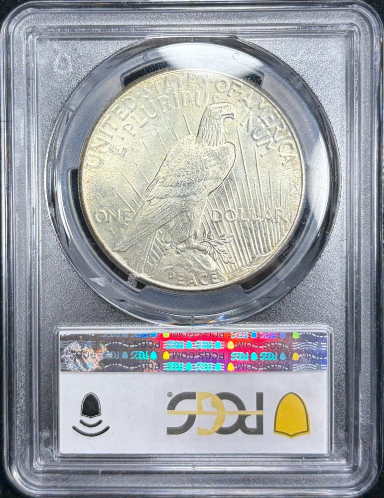1925 PCGS MS66 Silver Peace $1 - Toned