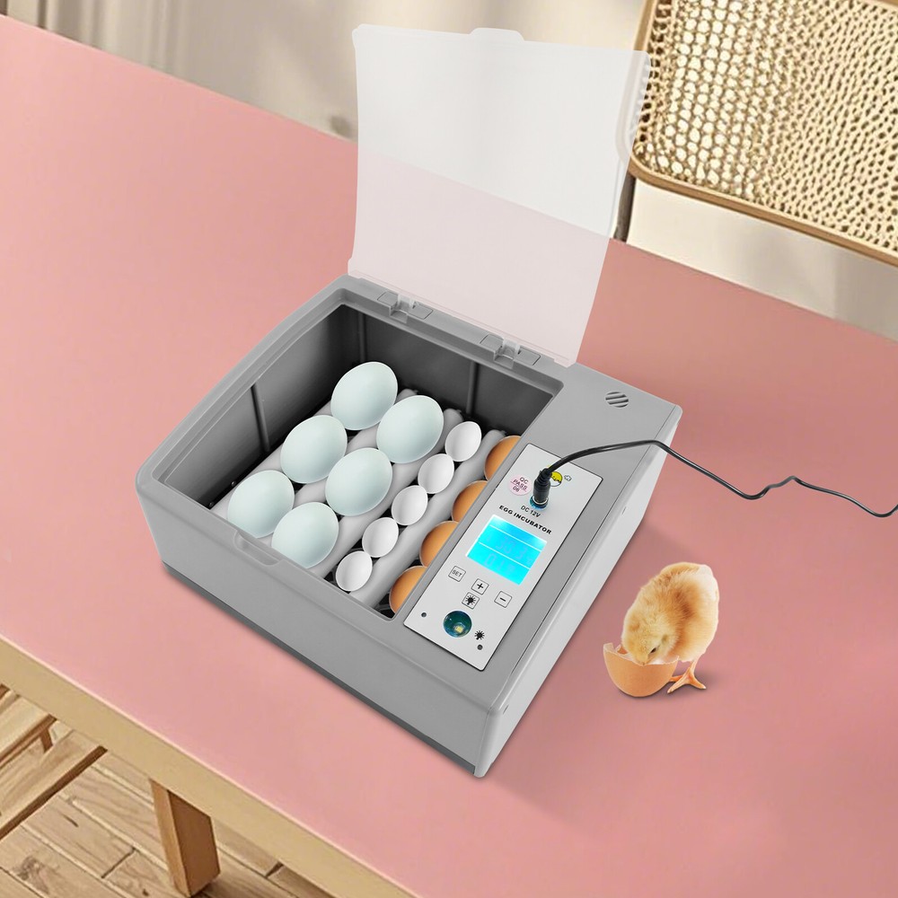 Egg Incubator w/ Temperature Control 16-Egg Incubator Household Egg Incubator