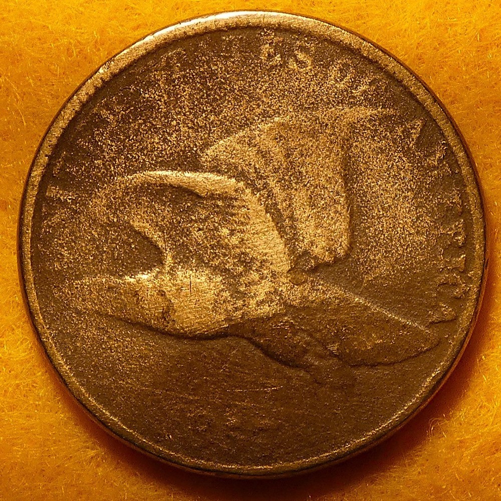 1857 Flying Eagle Cent with some nice feather details showing