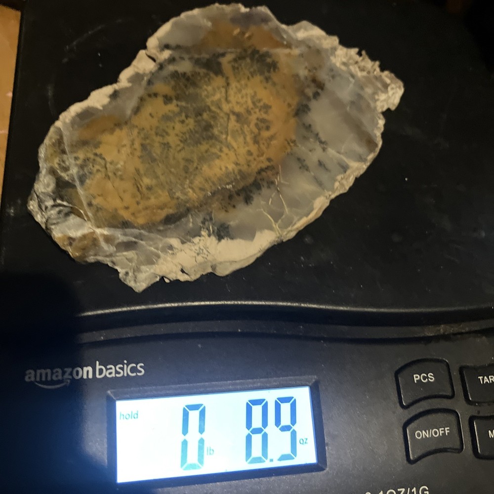 Dendritic Jasper Slab