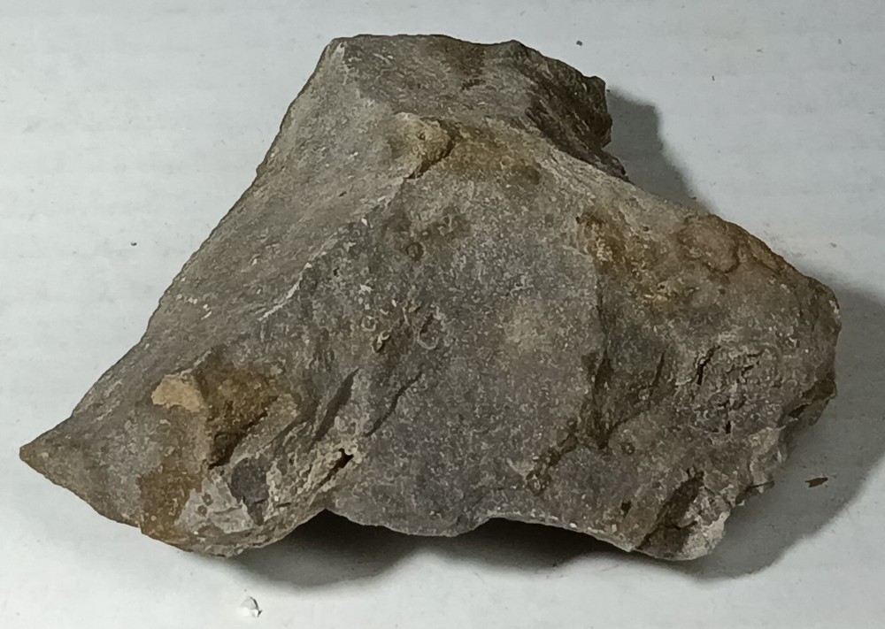 Nittany Dolomite 7 oz Pennsylvania