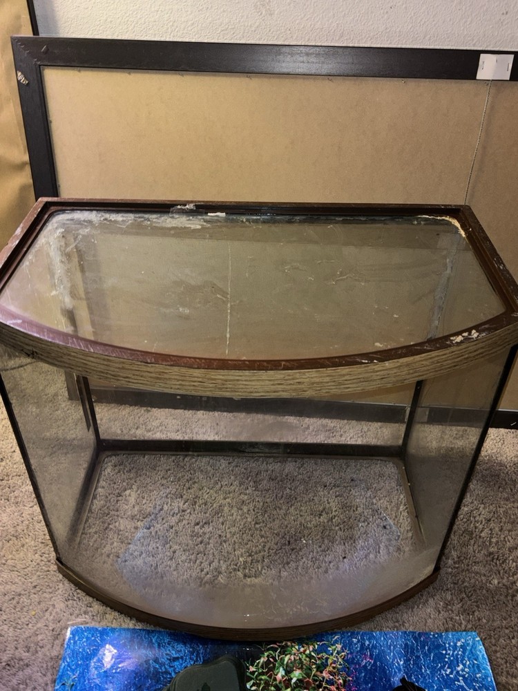 36 Gallon Fish Tank + Decor! (PLEASE READ DESCRIPTION!)
