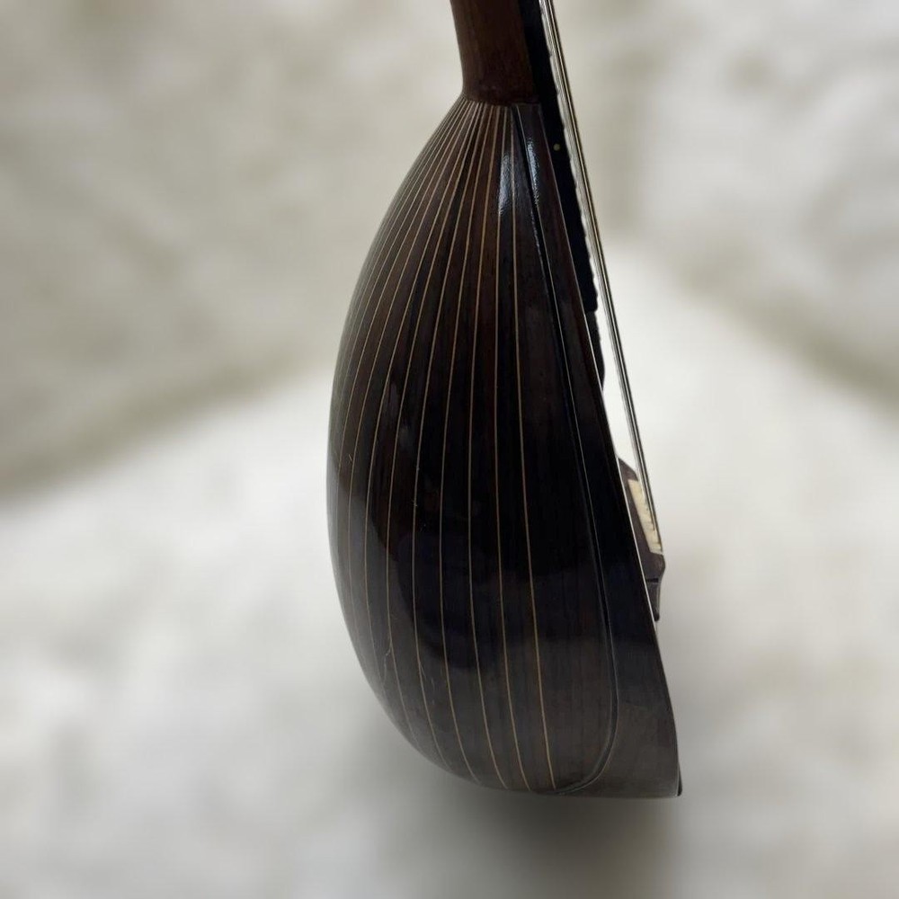 SUZUKI Mandolin M-218 1974