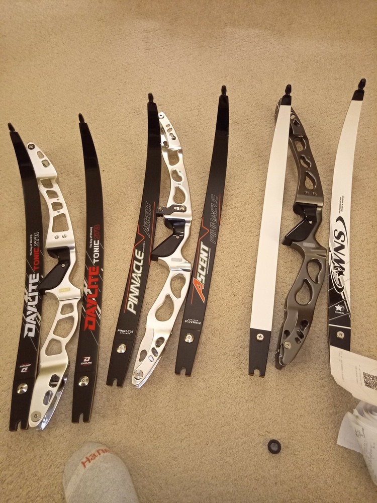 Decut Archery Olympic Archery Bow Includes the Riser,Limbs,String. Great quality