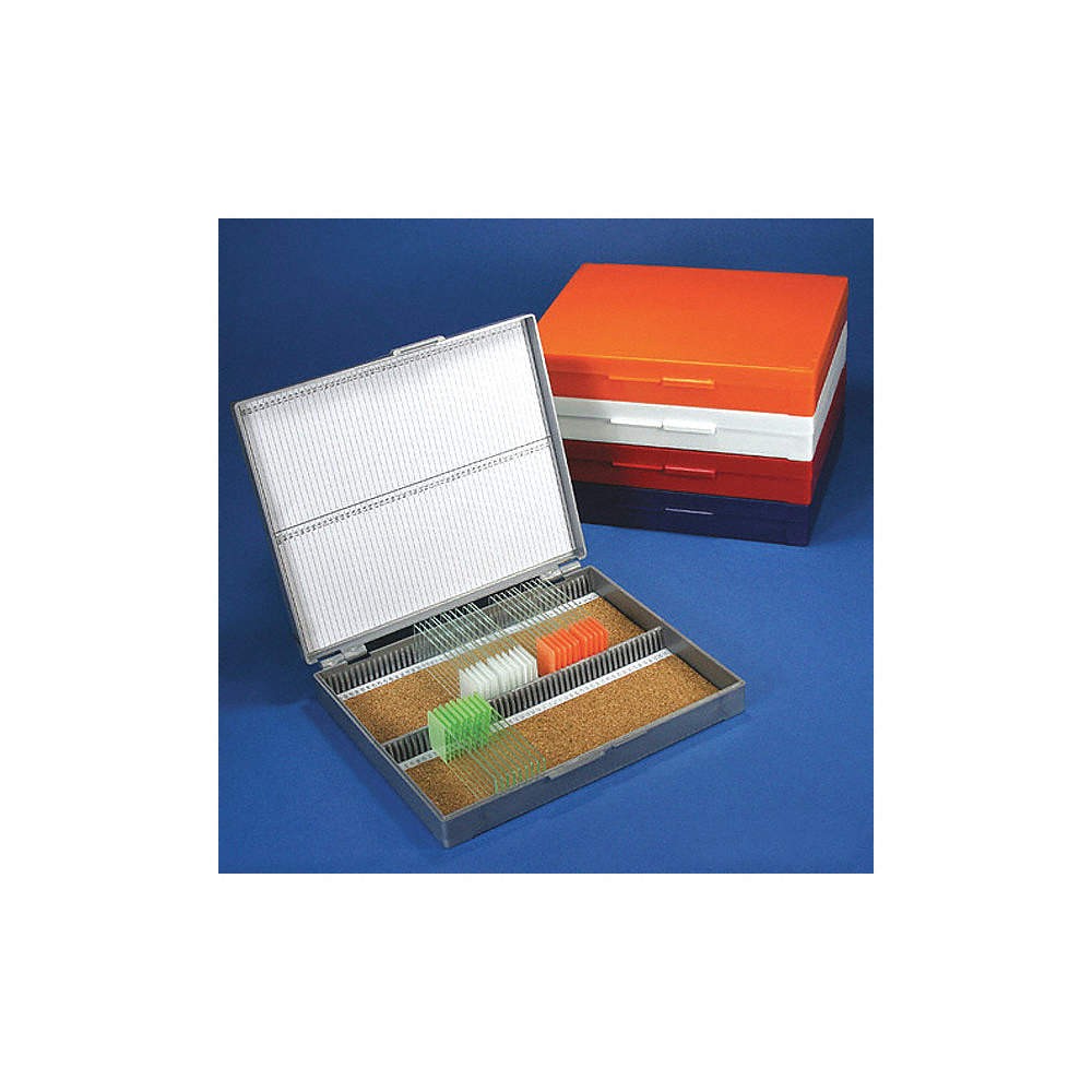 GLOBE SCIENTIFIC Microscope Slide Box,White 55FH71