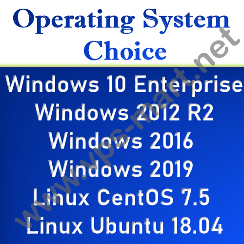 1 Year - VPS Server / RDP Server / VPS Hosting - 12 GB RAM + 400 GB HDD