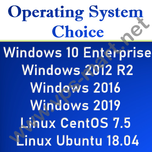 VPS Server / RDP Server / VPS Hosting 12GB RAM 400GB SSD - 1 year