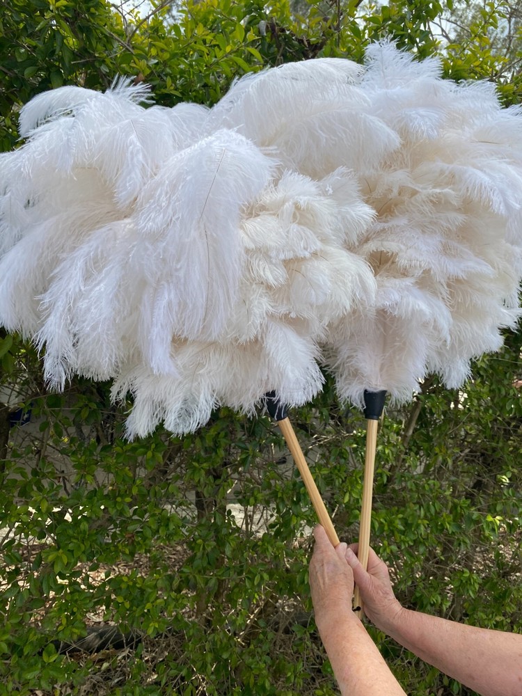 First grade ostrich feather display 180grm white ostrich feathe