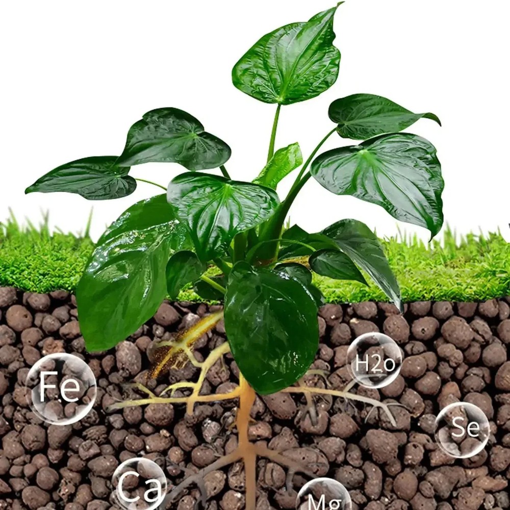 500g Expanded Clay Pebbles for Hydroponic Growing & Plants