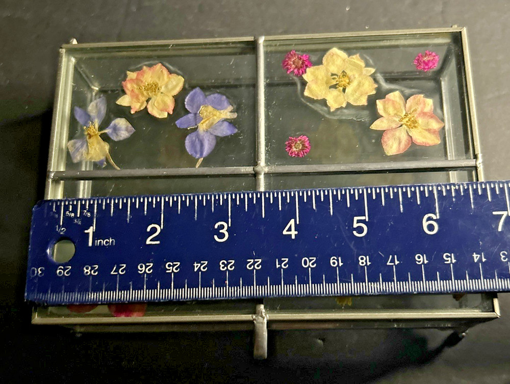 Carr Atrium Photo Box - Garden