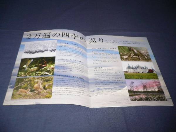 press Seasons 20000 Years Earth Journey