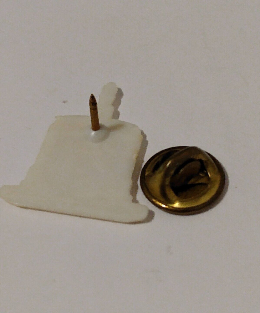 Salem Building Souvenir Plastic Lapel Pin