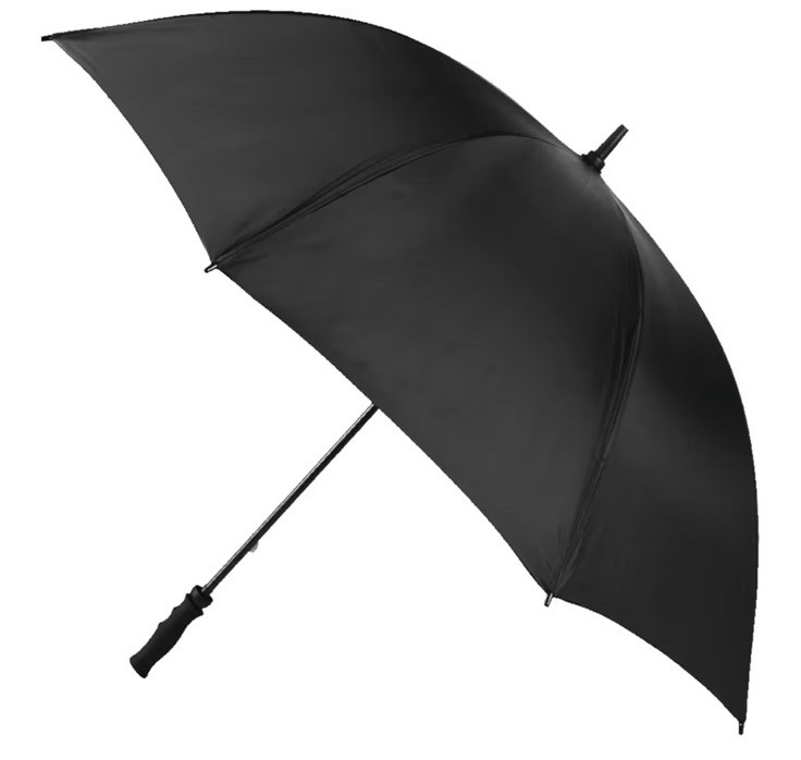 Raines Golf Umbrella—Black, $35.11 on Amazon. Save here!