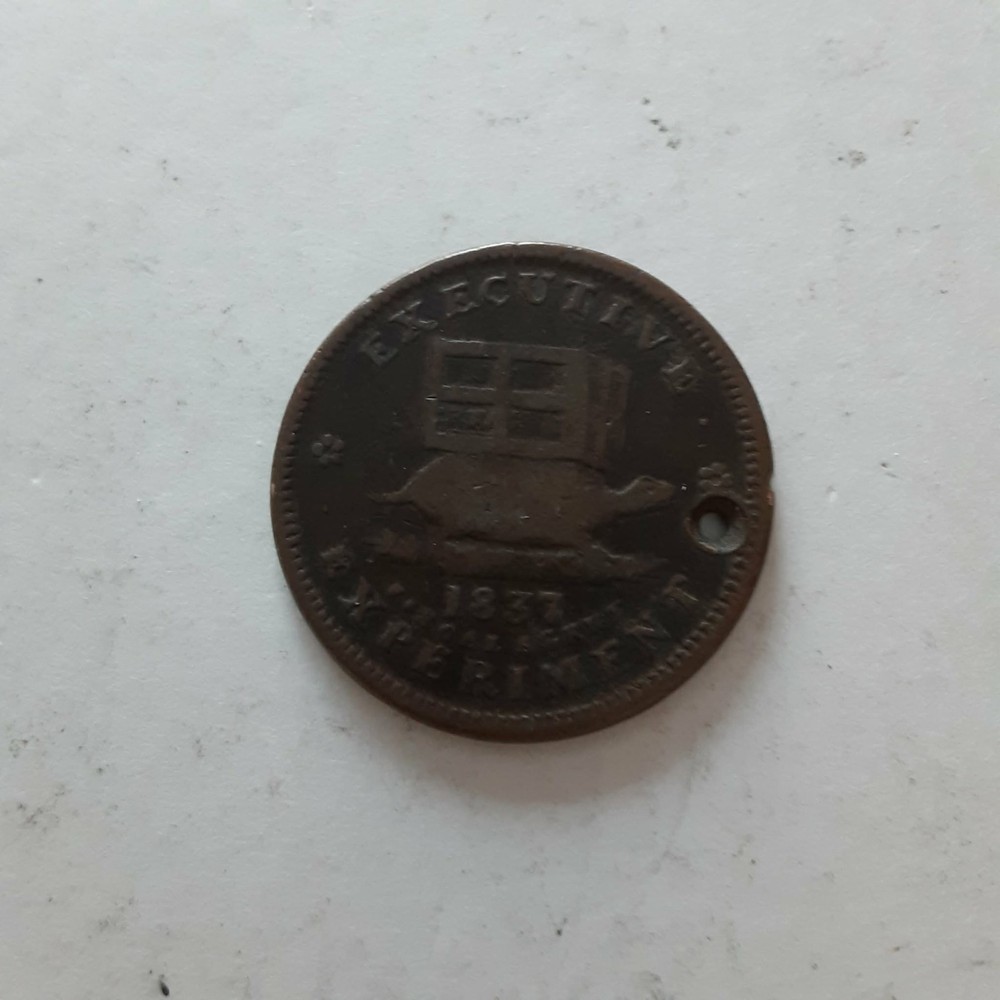 1837 Andrew Jackson Executive Experiment Jackass Turtle