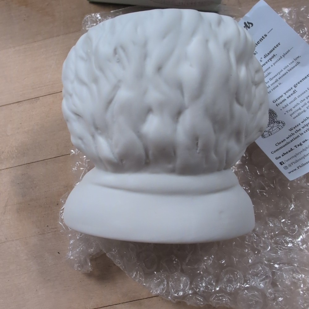 Fertile Minds Albert Einstein Ceramic Planter Pot New Open Box
