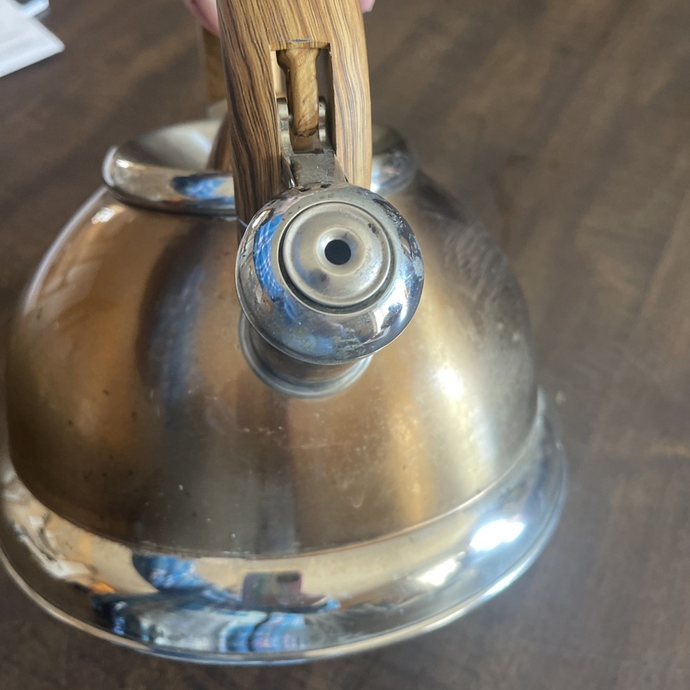 Balduzzi Italian Style Induction Tea Kettle Soft Touch Handle Stainless Steel