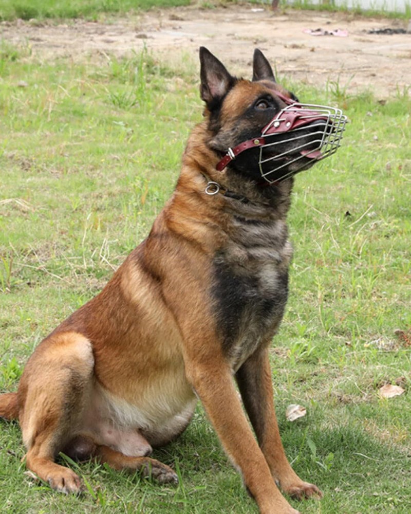 Dog Muzzle for Large Dogs, German Shepherd Muzzle with Adjustable Leather Str...