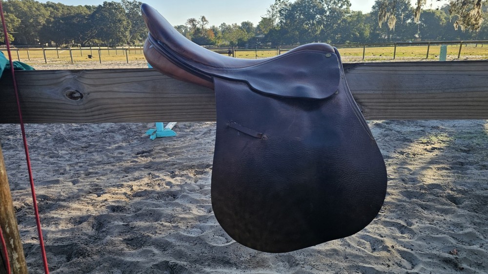 Collegiate Saddle 6524