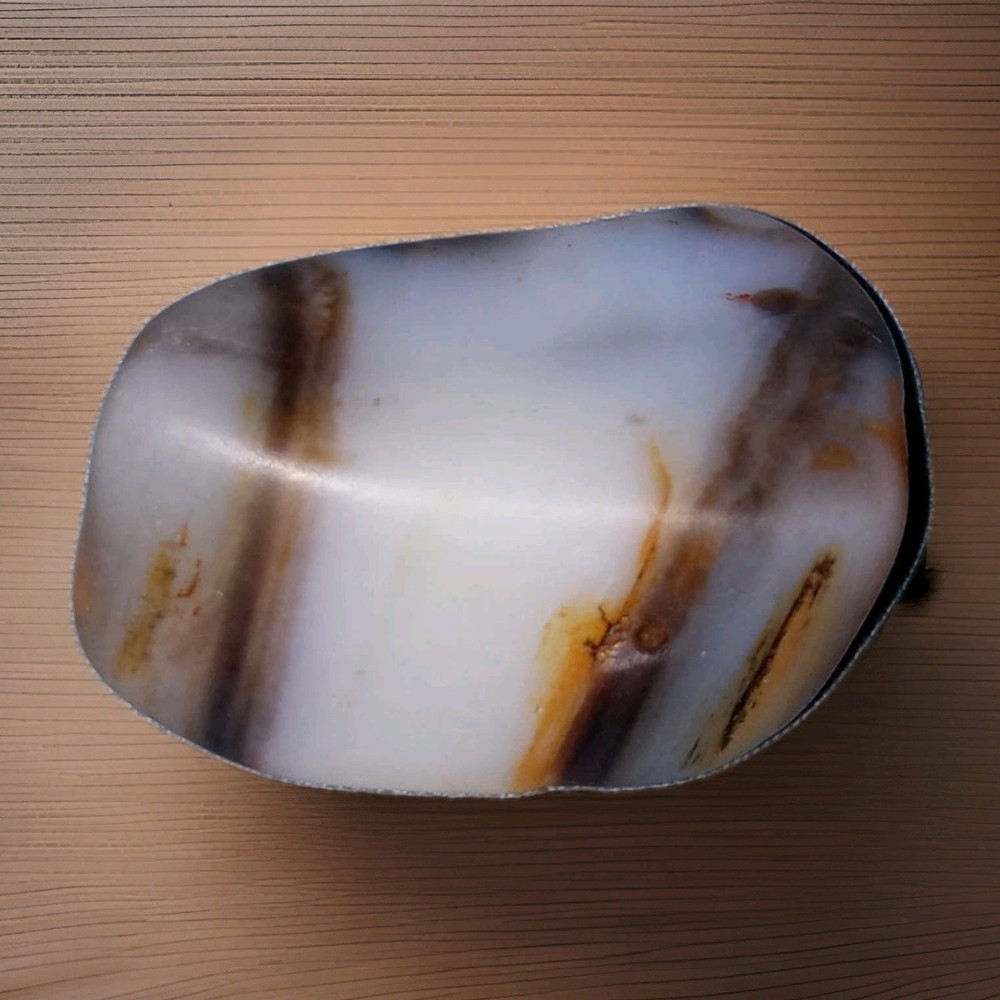 Polished Petrified Wood Specimen