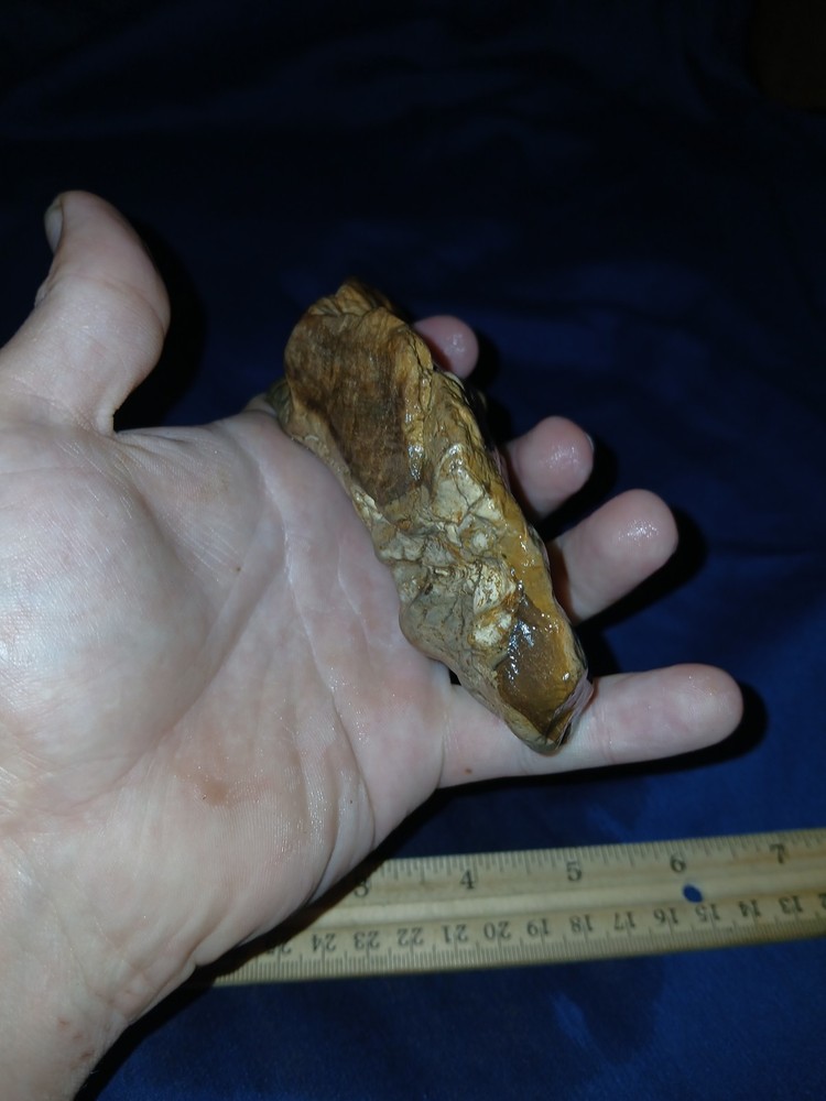 8 oz Texas Petrified Wood