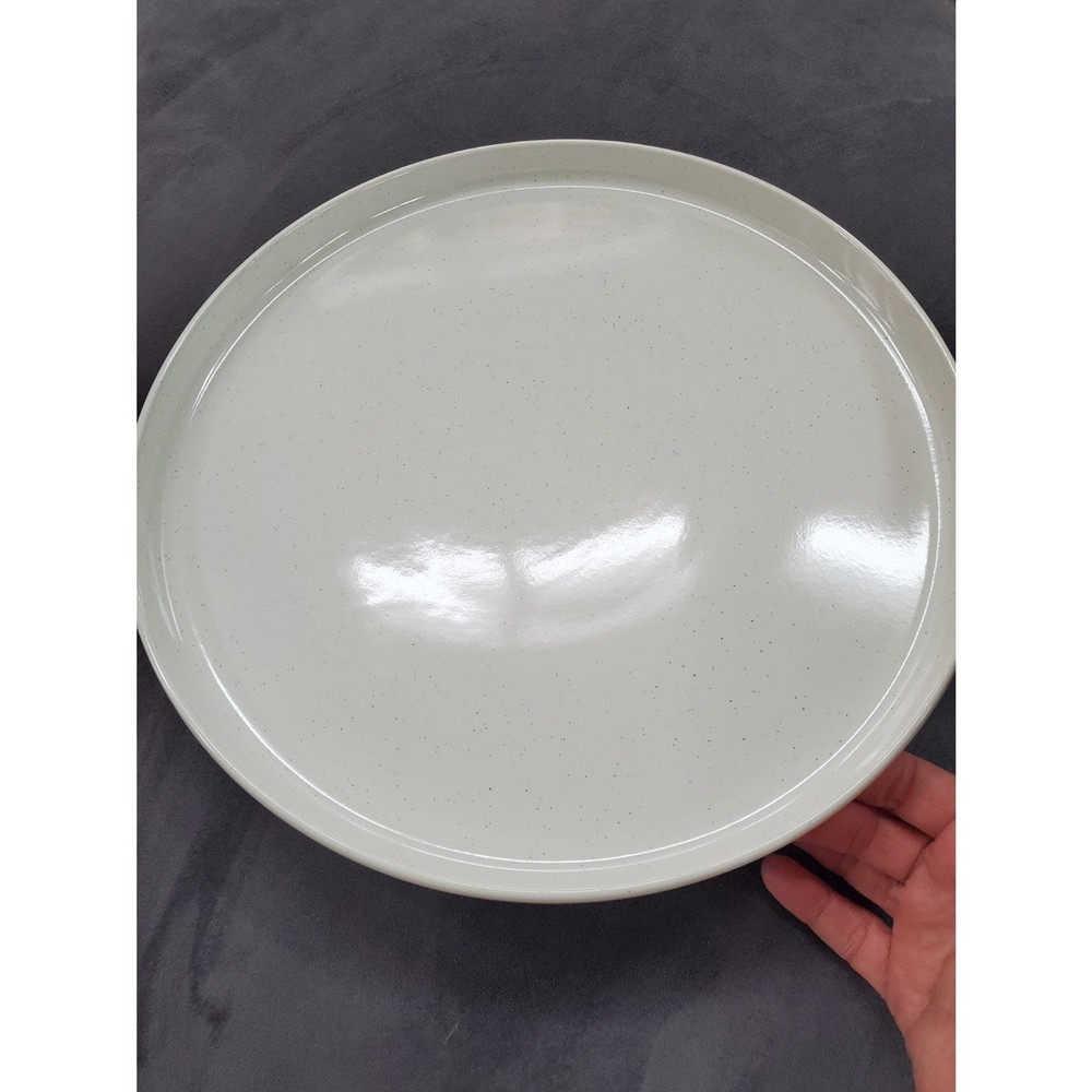 Famiware Nebula DINNER PLATE 10 INCH STONEWARE