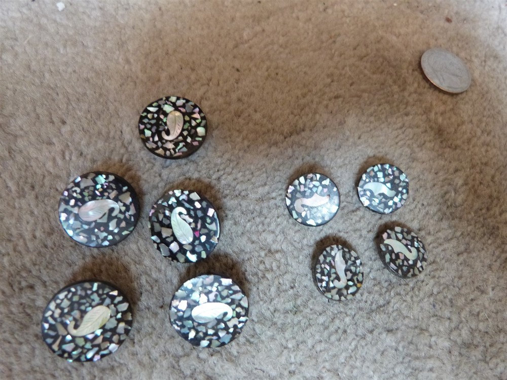 VTG matching composition abalone flake confetti leaf button lot diff sizes #101