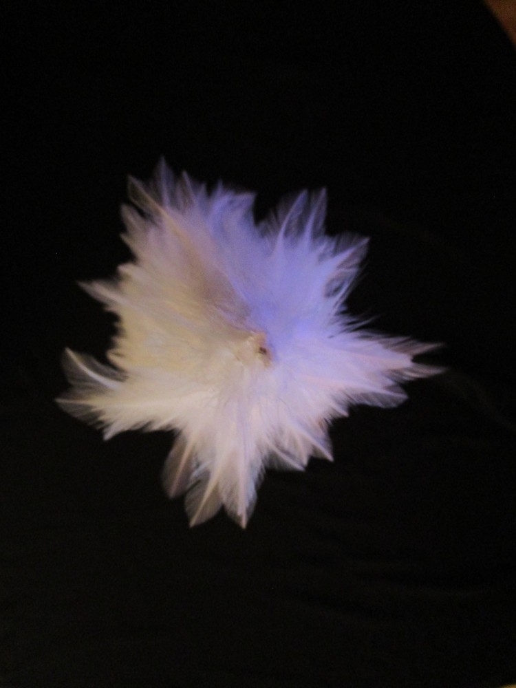 White Feather Feathers Tree Christmas 21"H 5" Diameter Base