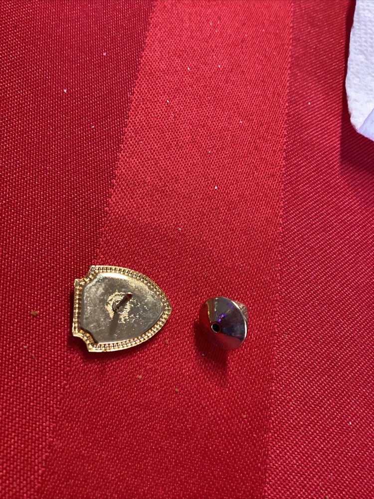 NCL MS Seward pin Rare