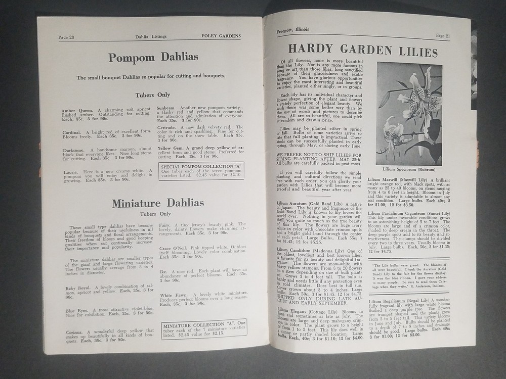1957 Foley Gardens Catalog