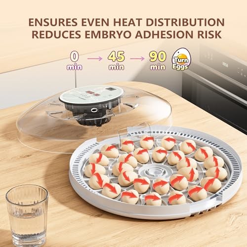Egg Incubator for Hatching 28 Eggs, Auto Flip, Independent Atomizing