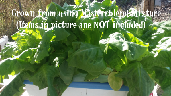 Masterblend Tomato & Vegetable Fertilizer 4-18-38 - 1 lb