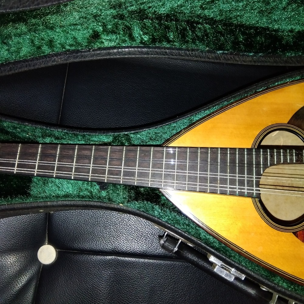 String instrument mandolin with case