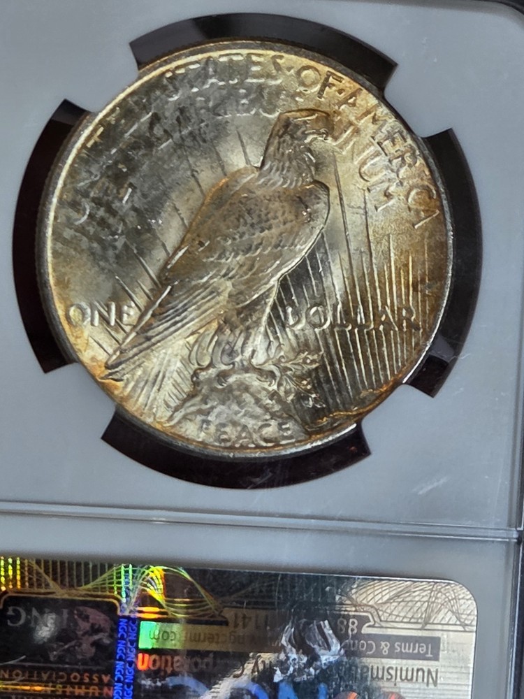 1925 $1 Peace Dollar NGC MS62 Toned