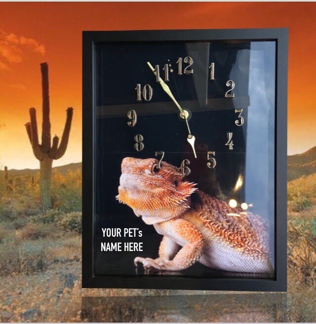 Bearded Dragon Clocks