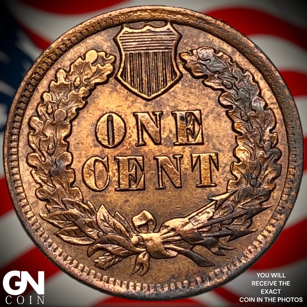 1901 Indian Head Cent Penny M1648