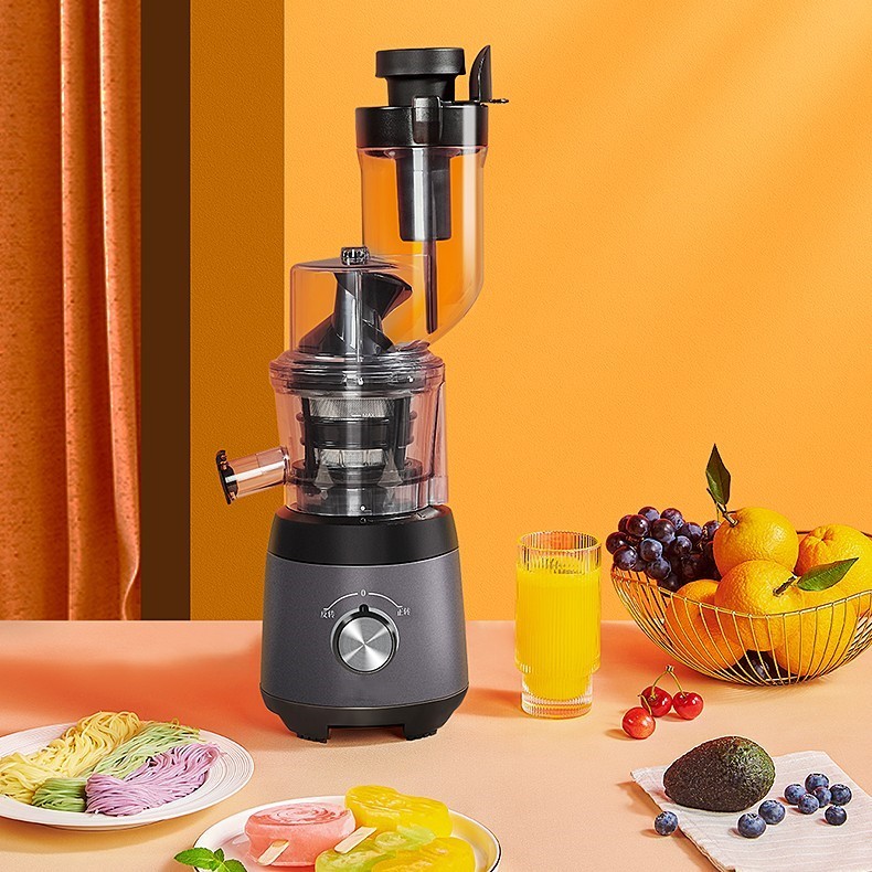 Multi Function Juicer Separator Home Fruit Vegetable Juice Maker