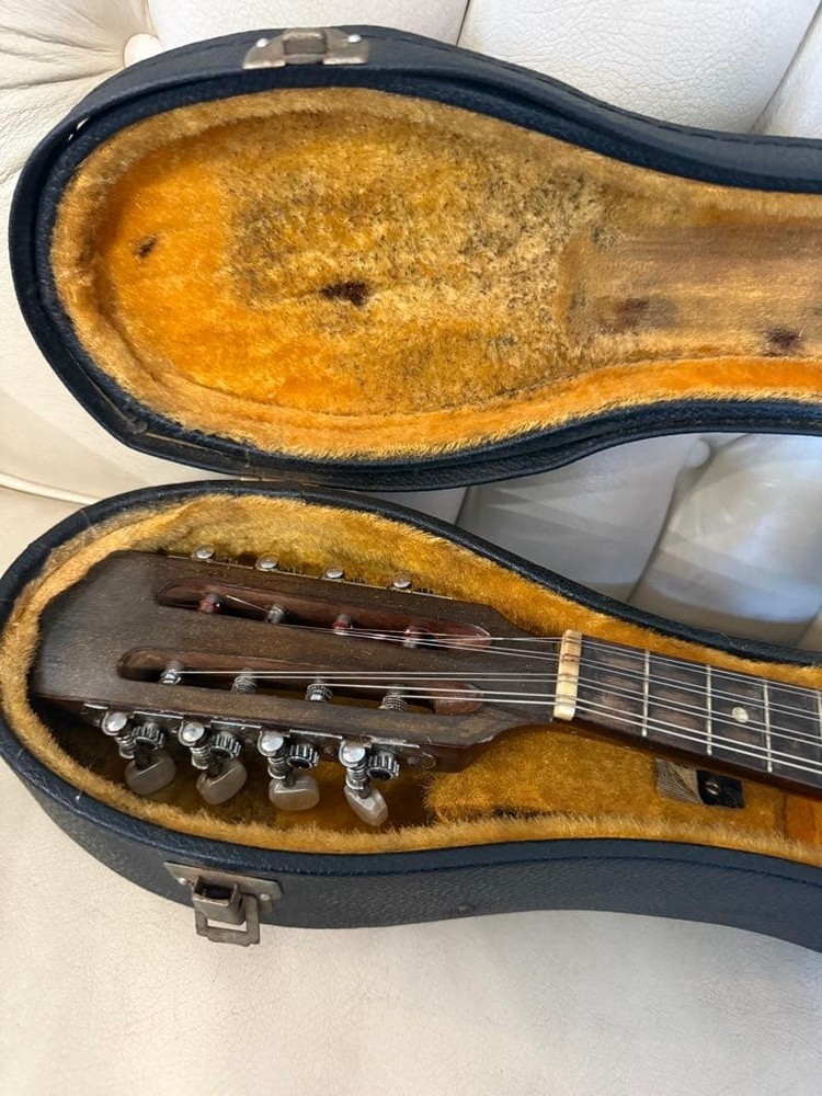 78: Mandolin Spruce body 8 strings