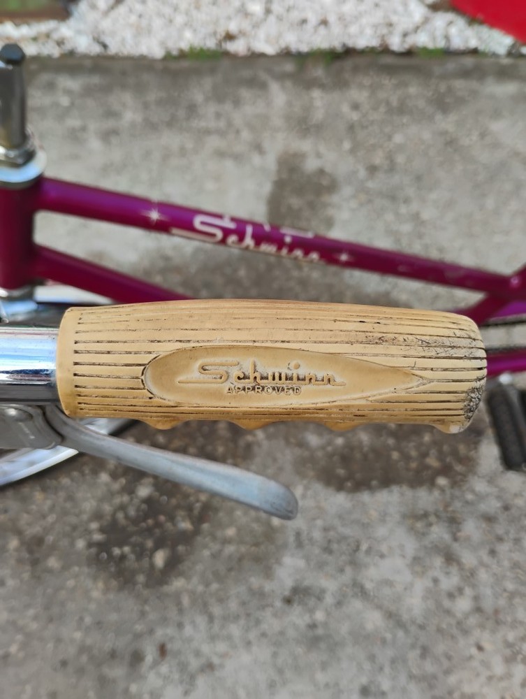 Schwinn Twinn Bicycle