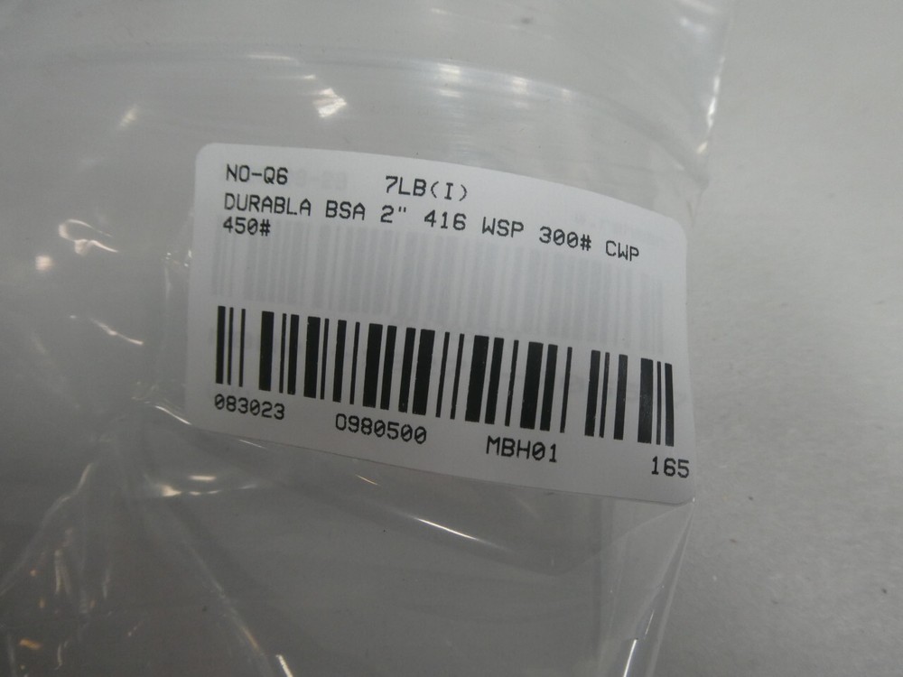 Durabla BSA Basic-check Stainless Check Valve Unit 2in Npt